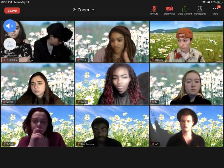 A screenshot of Zoom. The cast of Too Solid Flesh is rehearsing for their upcoming live performance. A sunny meadow is seen in the background of each actor's screen.